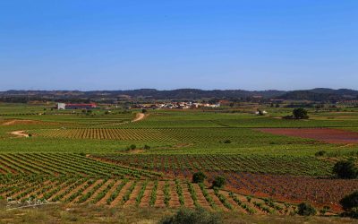 Programa N 218 de 27 de Febrero de 2019