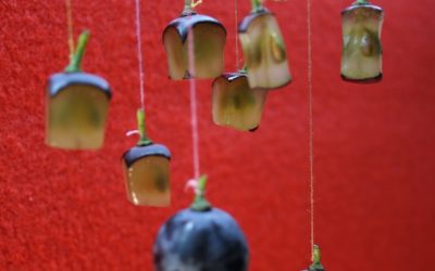 Programa N 220 de 13 de Marzo de 2019