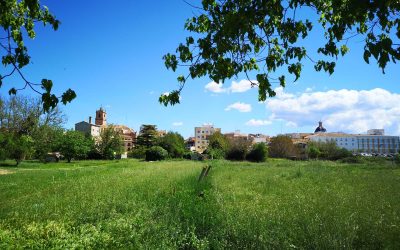 Programa N 228 de 22 de Mayo de 2019