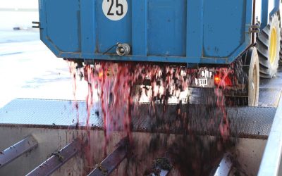 Programa N 229 de 5 de Junio de 2019