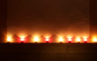 Programa N 231 de 19 de Junio de 2019