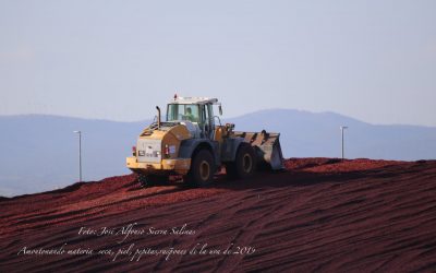 Programa N 241 de 23 de Octubre de 2019