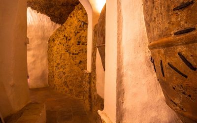 Programa N 244 de 13 de Noviembre de 2019