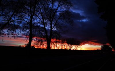 Programa N 248 de 11 de Diciembre de 2019