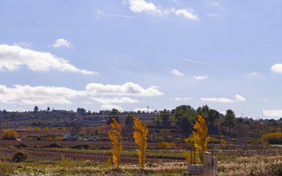 Programa N 247 de 4 de Diciembre de 2019