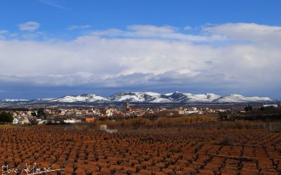 Programa N 252 de 22 de Enero de 2020