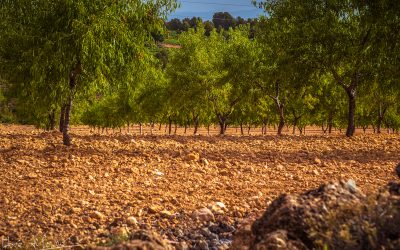 Programa N 254 de 5 de Feberero de 2020
