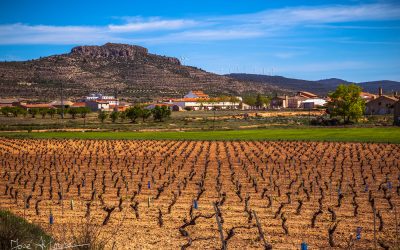 Programa N 255 de 12 de Febrero de 2020