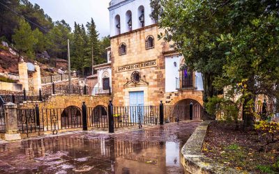 Programa N 253 de 29 de Enero de 2020