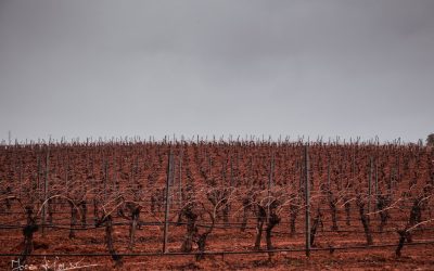 Programa N 257 de 26 de Febrero de 2020