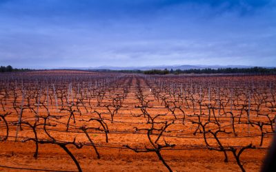 Programa N 258 de 11 de Marzo de 2020