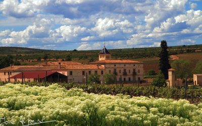Programa N 264 de 22 de Abril de 2020