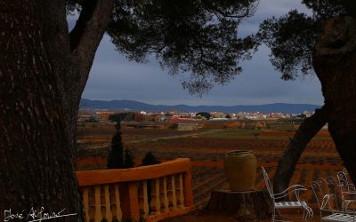 Programa N 265 de 29 de Abril de 2020