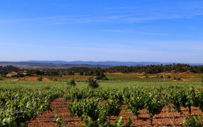 Programa N 270 de 3 de Junio de 2020