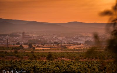 Programa N 276 de 22 de Julio de 2020