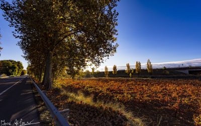 Programa N 282 de 21 de Octubre de 2020