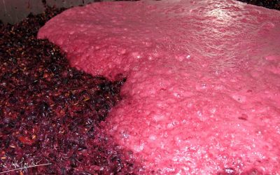 Programa N 281 de 14 de Octubre de 2020