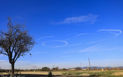Programa N 287 de 25 de Noviembre de 2020