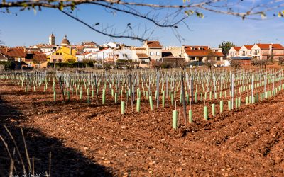 Programa N 290 de 16 de Diciembre de 2020