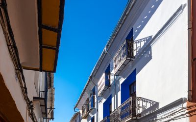 Programa N 294 de 27 de Enero de 2021