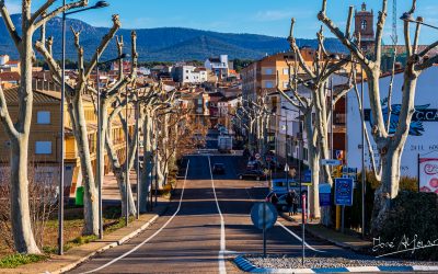 Programa N 293 de 20 de Enero de 2021