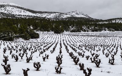 Programa N 292 de 13 de Enero de 2021