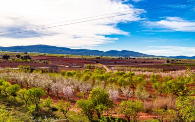 Programa N 302 de 24 de Marzo de 2021