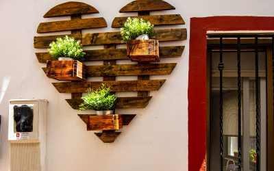 Programa N 310 de 19 de Mayo de 2021