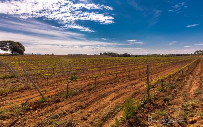 Programa N 307 de 28 de Abril de 2021