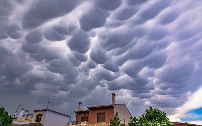 Programa N 312 de 02 de Junio de 2021