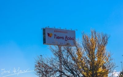 Programa N 337 de 30 de Marzo de 2022
